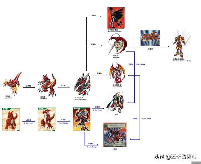 数码宝贝进化图鉴大全分享主要成员进化图鉴